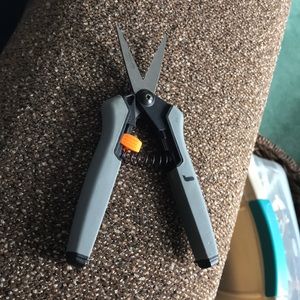 Meet your Posher, Tara